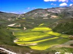 Monti Sibillini Piano di Castelluccio di Norcia Monti Sibillini Piano di Castelluccio di Norcia