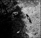 Cani & Padroni #4 Cani & Padroni #4