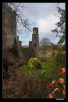 Quando si ritorna sul luogo del delitto con le idee chiare su cosa si vuole ... ripropongo una foto del belissimo castello di blarney immerso nel suo meraviglioso parco pronto a mostrare i colori di una primavera che ancora stenta ad arrivare

A voi la parola