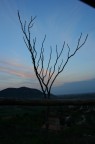 -La solitudine- -La solitudine-