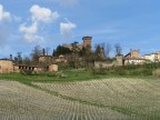 le vigne del castello di gabiano