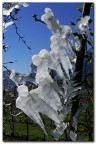 Una rondine non f primavera