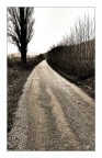 sulla strada sulla strada