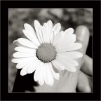 .............. ..............