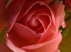Super-macro