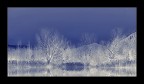 The new glaciation