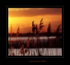 Brivido caldo.... Brivido caldo....