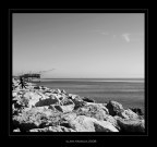 Marinareggiando.... Marinareggiando....