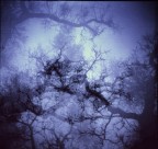 brainstorm brainstorm