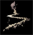 Contest - La Strada Contest - La Strada