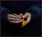 le mani che lavorano.....e lo dicono! le mani che lavorano.....e lo dicono!