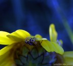 è ora di andare a nanna! è ora di andare a nanna!