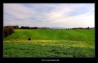 I primi colori della primavera I primi colori della primavera