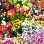 fiori finti al mercato