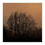 Languore d'inverno
