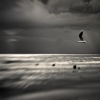 when I'm gone when I'm gone