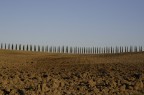 terre senesi terre senesi
