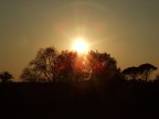 in questa foto mi   piaciuto molto immortalare l'effetto del sole al tramonto: il sole al centro dell'immagine da cui si irradia l'unica luce e l'unico colore e tutto il resto si fa scuro, tutti i colori vengono cancellati ...... commentate vi prego (devo imparare)