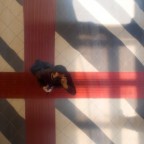 Autoritratto (photoshow 2008) Autoritratto (photoshow 2008)