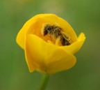 nella sua culla nella sua culla