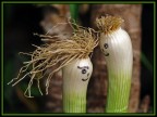 sguardi amorosi! sguardi amorosi!