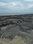 Paesaggio alieno Paesaggio alieno