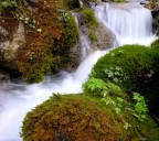 Torrente Grignato Torrente Grignato