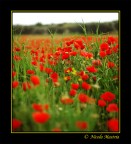 Nel grembo di madre natura Nel grembo di madre natura