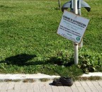 Mancata ecologia Mancata ecologia