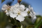 La bellezza della semplicità La bellezza della semplicità