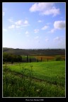 Come in un sogno Come in un sogno
