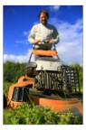 The Lawnmower Man