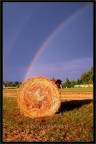 ...e poi l'arcobaleno!!! ...e poi l'arcobaleno!!!