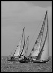 Match Race Match Race