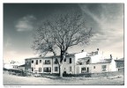L'Albero di fronte L'Albero di fronte