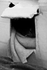 Do Not Disturb Do Not Disturb