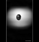 ::: UNA GOCCIA AL VOLO ::: ::: UNA GOCCIA AL VOLO :::