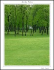 Giardini Pertini