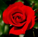 Rosso"Passione" Rosso"Passione"