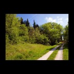 Country Set Country Set