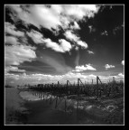 dopo la pioggia dopo la pioggia