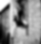 workshop - Camille Noir workshop - Camille Noir