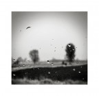 Uggioso #1 Uggioso #1