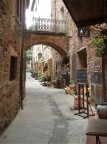 vicolo vicolo