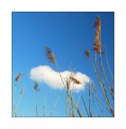 leggerezza leggerezza