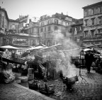 c.fiori 1979 c.fiori 1979