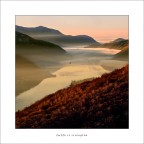 tutto si risveglia tutto si risveglia