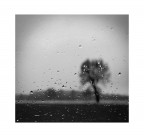 Uggioso #2 Uggioso #2