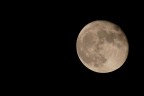 flying to the moon flying to the moon