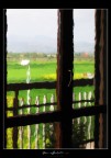 La finestra La finestra